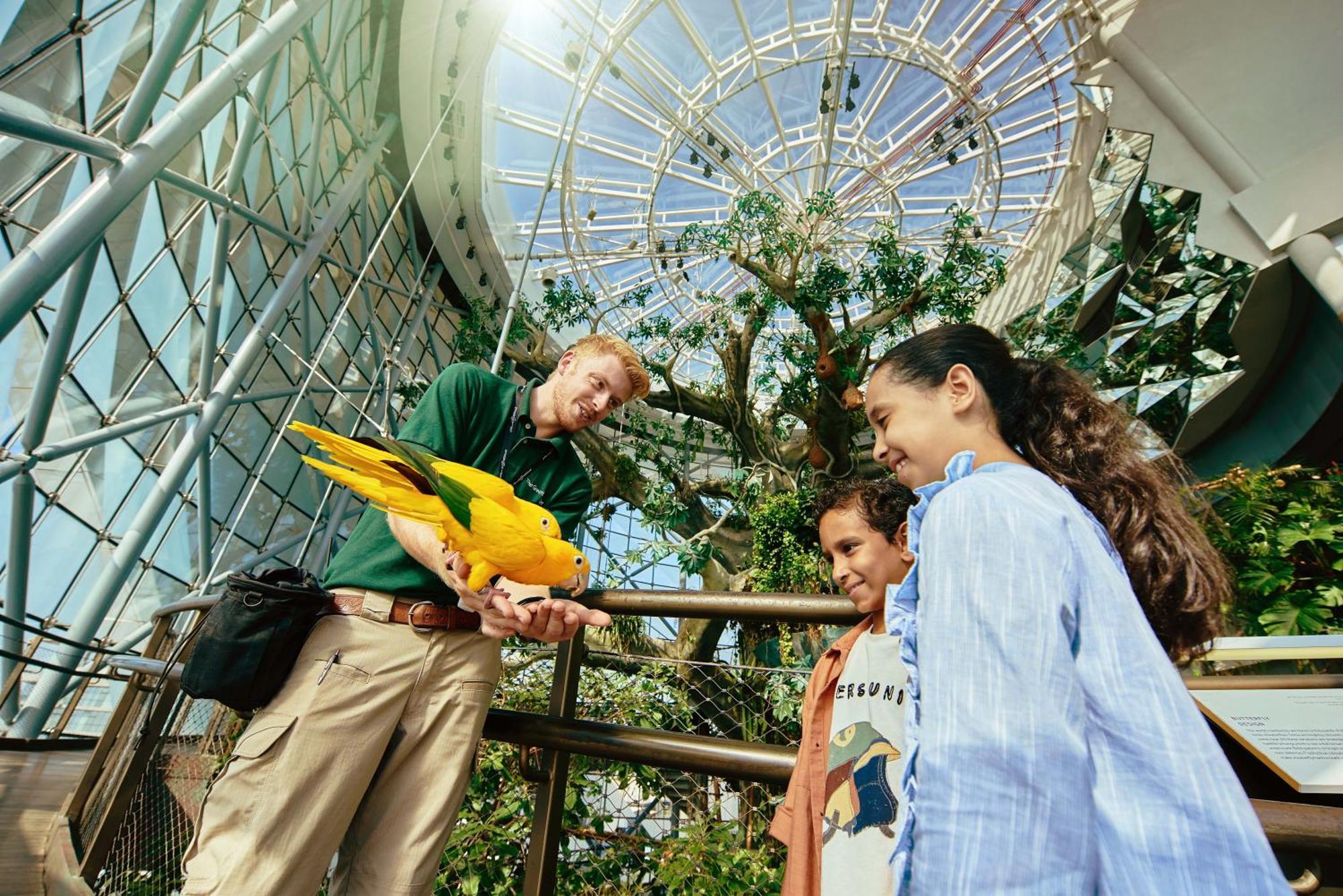 La Ville Hotel & Suites City Walk Dubai, Autograph Collection Екстер'єр фото The Aviary